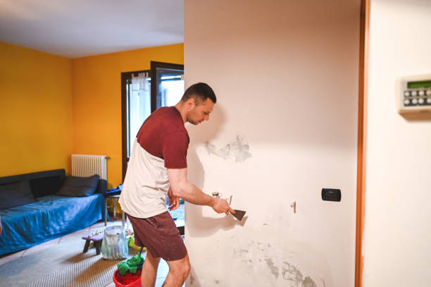 Best Post-Flood Mold Remediation in Remlap, AL